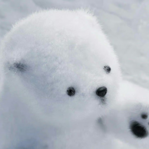 �������~�A�A�L�L�ɿɐېۣ������ҵĻ�