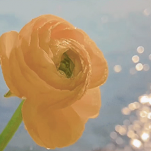 �zӰ������ĵ�һ�lף���������ͽo��