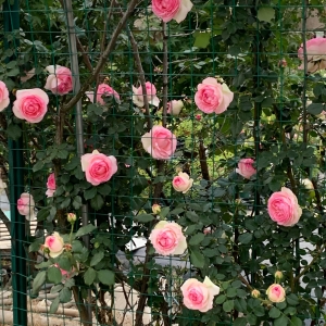 ���쿴���ˣ���������֮���£�