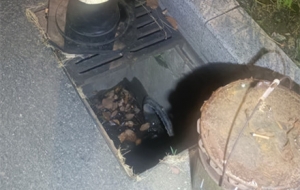 ��ꎳ�����ľ�B�ψ���ô�ã����f�]�˹�