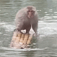 �F�ڽ��˽���ǆ�������߀���p�ݵĆ�λ�]