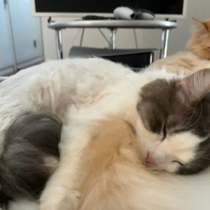 �]���}Ŀ��С؈�䲻������ֻ�����ֿɐ�