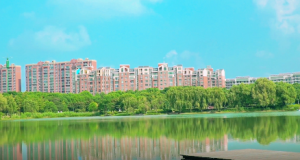 �������{(l��n)��Ͱ��ƣ��ǁ��շ��L������