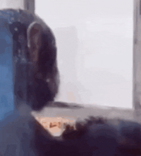 �F(xi��n)�ڪ��������Ҹ�����ĸ�з���܇�����U������ؔʲô�ľͲ��f��