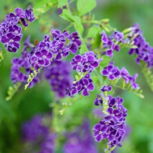 �S�ģ�������̣����Լ��������Ϻ���