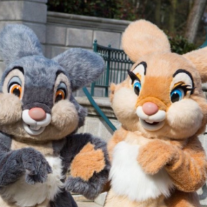 �ɐ۵�ʿ�������������ͨС�����������