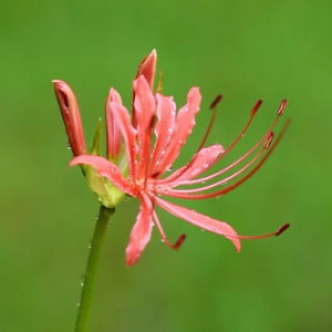 �����S�ģ��t���ã�����Ǳ˰�