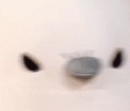 ����С�W��������W�˔�������������Ȼ���׃��@�˔��ڿs�p