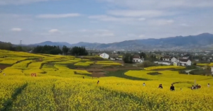 ����h�еĽ�������Ԋ�箋������ʮ�f��ǧ��