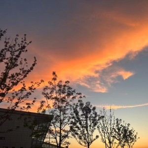 �S�ģ��ִ��������{�����������һؼ�