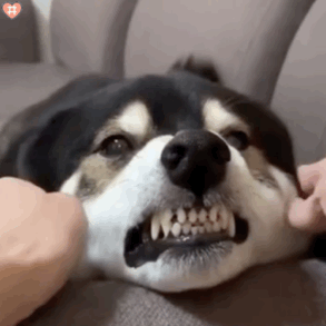 �L�������ҵ�������������ֱ������