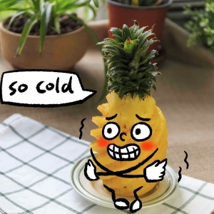 �F���@���r��Ě�أ���Ȼ����������ù������{��?