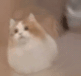 ���Ž���׌���ھW���I�|�����Ȗ|�����˽o���X������߀�ǲ��գ�