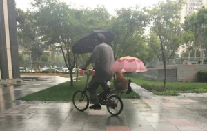 ů�ģ��Ϡ����c�����ĸ���˲�g