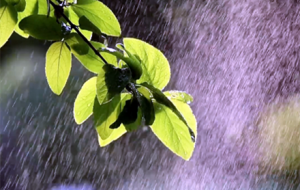 һ��(ch��ng)��������e���c����������