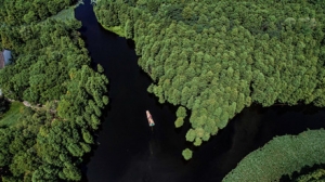 ���ģ���æ�������У�����һƬ�G��