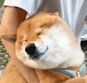 ߀���_05����ǰ܇�ӵĉ����e���֣������ж�����ԓ�Q܇��