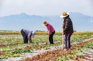 ��ʮ���q���ϵ���ͨ��ȫ���R������ϲ�g�N�ˣ��Ҹ��ں��濴�����@đ��@��ô��ֹ����