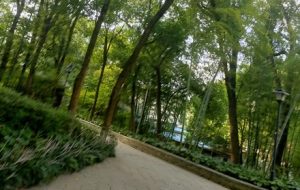 �^�����Ƶ����ӣ����������Ƶ����