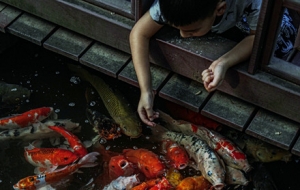 �򿨳����d���U�£�ɽ�вع��£��T��M����