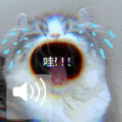 ���ӄ���һ�꼉�����X�^���һ�ȣ����