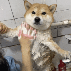 ���������ݻ���һ�f�࣬߀�����l(f��)�e�˵���Ƭ�o�ҿ����Ǟ���׌����ؓ(f��)��У�