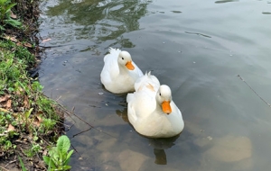 ��������Ҋ�ģ����������e�ɣ�