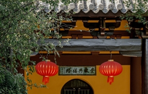 �Ї��Ž�������ɫ���㣬�����ĘO��