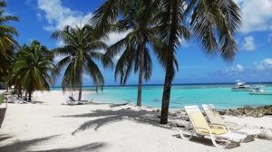 ��ӑՓ��~����������I��ô��