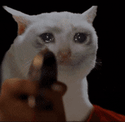 Ůħ�^�����B�m4�����]��Ϣ������^���O