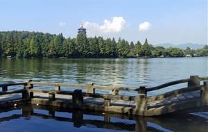 ��������������룺���浫�F��