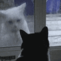 ������u����·�࣬߀�Iһ����һ�ף�