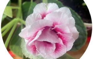 ����ҵĻ�������̼t��׌���ĕ�����