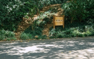 ӛ��ճ���Ƭ��΢�L���ꖹ�����