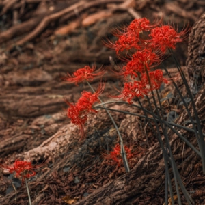 �˰����_�����_�˰���һ����һ��