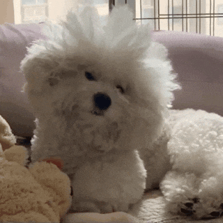 �治������̥������Խ�L��Խ��Ҫ���X�����������Ҷ�����~