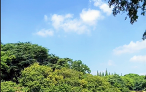 ƣ�v�������Ҫ��һЩ����r���������