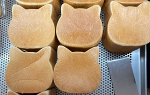 ԓ�Գԣ�ԓ�Ⱥȣ��e��̫��