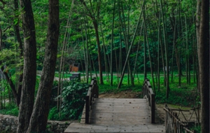 ����ɽ�S�ģ��Gɫ�����[�[��һ�����C����