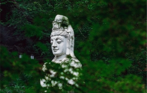 �򿨬����£���M���o���vʷ���صă���֮��