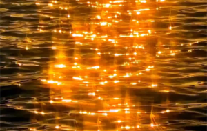 Ϧ����£����沨������������