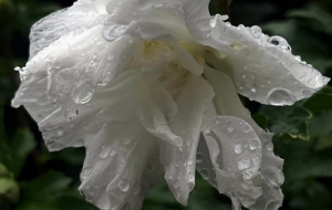 �����ߵ���һ������Ҫ�o�������c��Ȥ