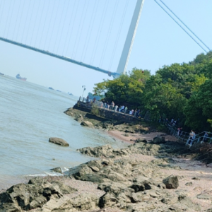 ����d���Z���칫�@��߅�b�˂�(g��)�ڗU��ȫ����������ˮ�ę�(qu��n)��