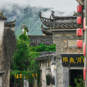 �����S�ģ����L(f��ng)֪���⣬��ᷲ����