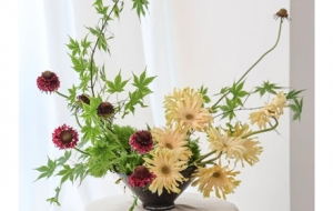 ����������ۻ�ˇ���������