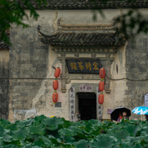 �����S�ģ�һ���V�^̎���o��Ҋ����