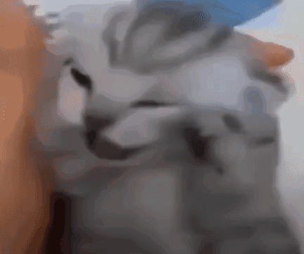 ��������㣬���41�깤�g��͘˜��U�M�ö������ݽ�