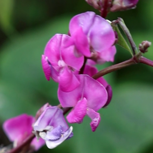 �S�ģ��r��������׌�҂�������������`��