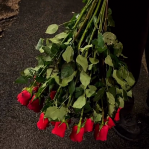 �W�ѷ�����Ը���_���ٿ˵Đ��飬Ը�ۿ�����