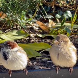 ׌�����ƣ�ԭ����ס�ڿ옷����ķʷ���ȸ